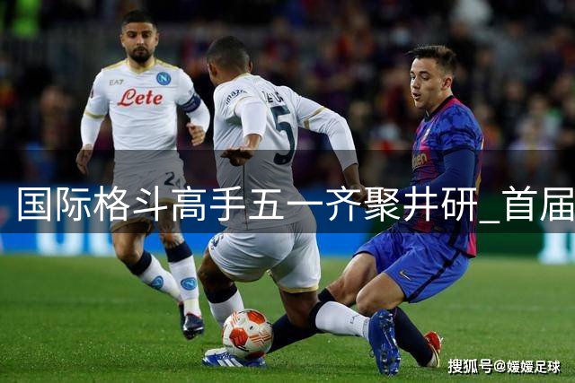 国际格斗高手五一齐聚井研 首届YATY拳王争霸赛开战